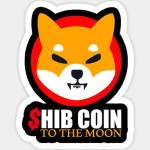 Shiba Inu Moon Profile Picture