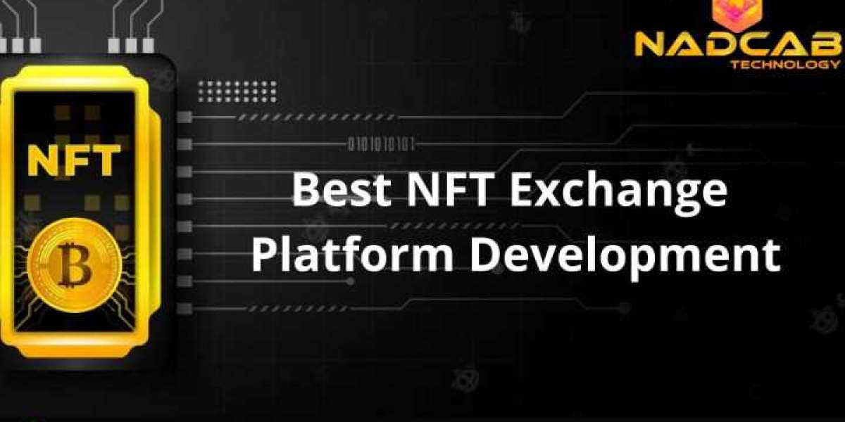 Best NFT Exchange Platform Development Company