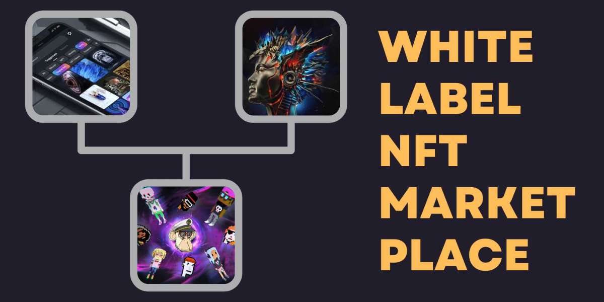 Why White Label NFT Marketplace Solutions popular till now