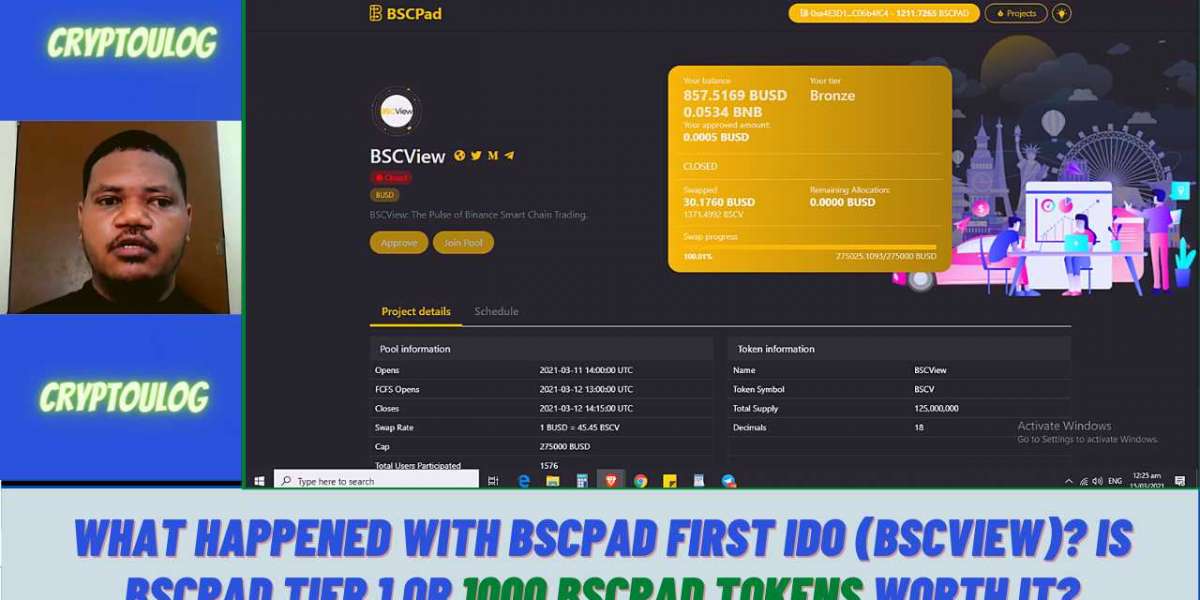 What Happened With BSCPAD First IDO (BSCVIEW)? Is BSCPAD Tier 1 Or 1000 BSCPAD Tokens Worth It?