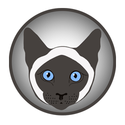 Applehead is first cat in the Solana ecosystem - APHD community token