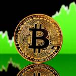 Bitcoin News Profile Picture