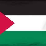 Israel Palestine Conflict Discussion Profile Picture