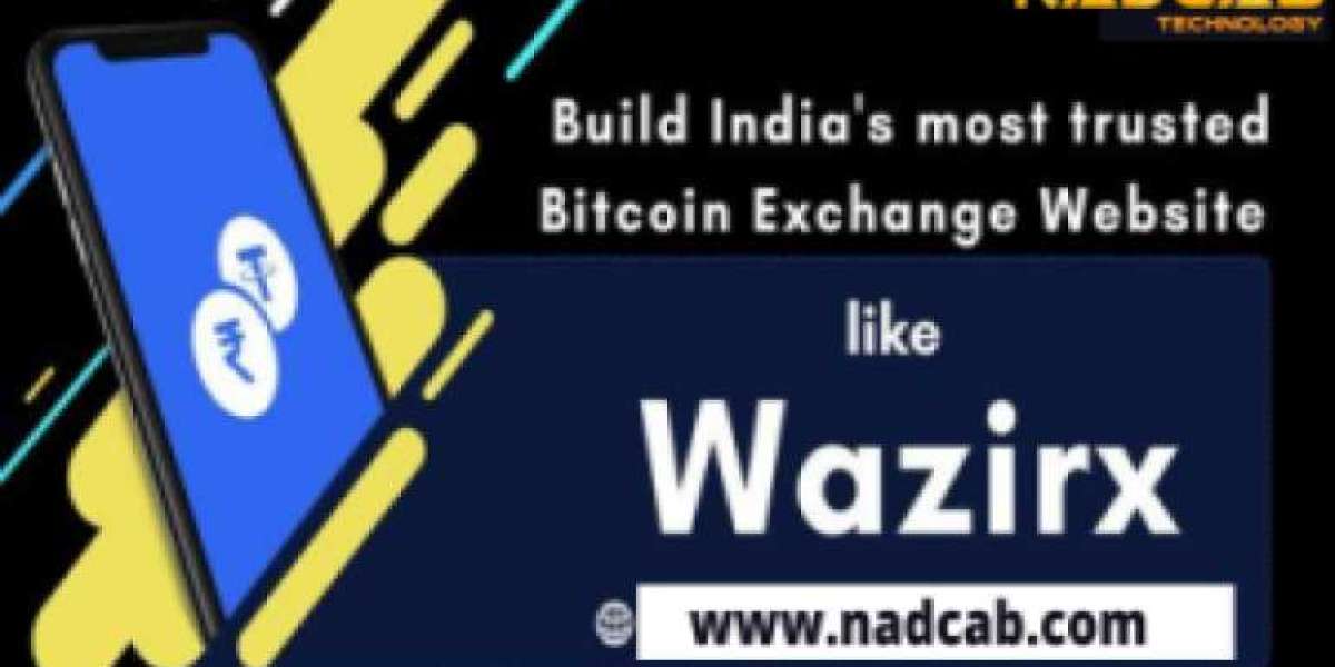 Wazir X Clone App Development In Delhi