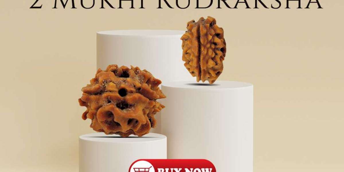 Shop Natural  2 Mukhi Rudraksha At Best Price In India