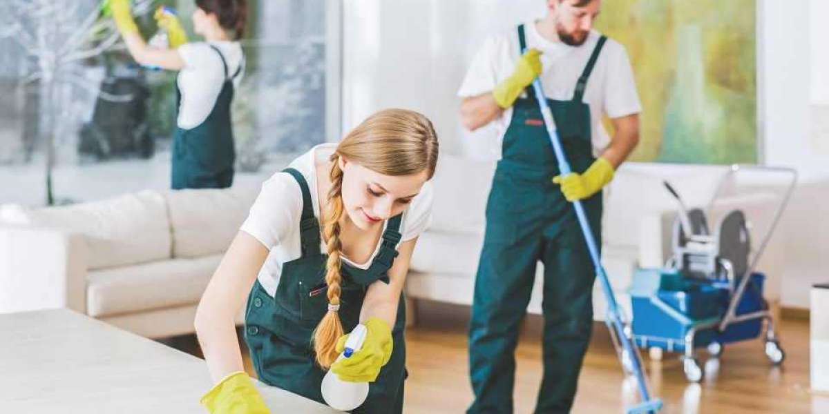 The Top Questions to Ask Your Carpet  Cleaning Technician