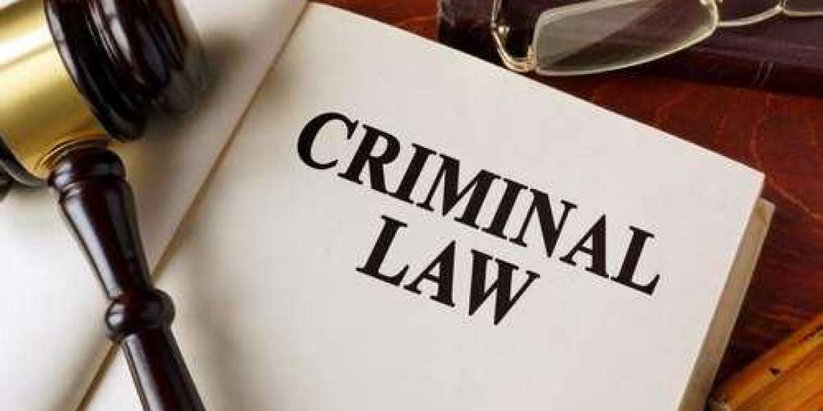 Criminal Lawyer in Delhi: Protecting Your Rights and Freedom