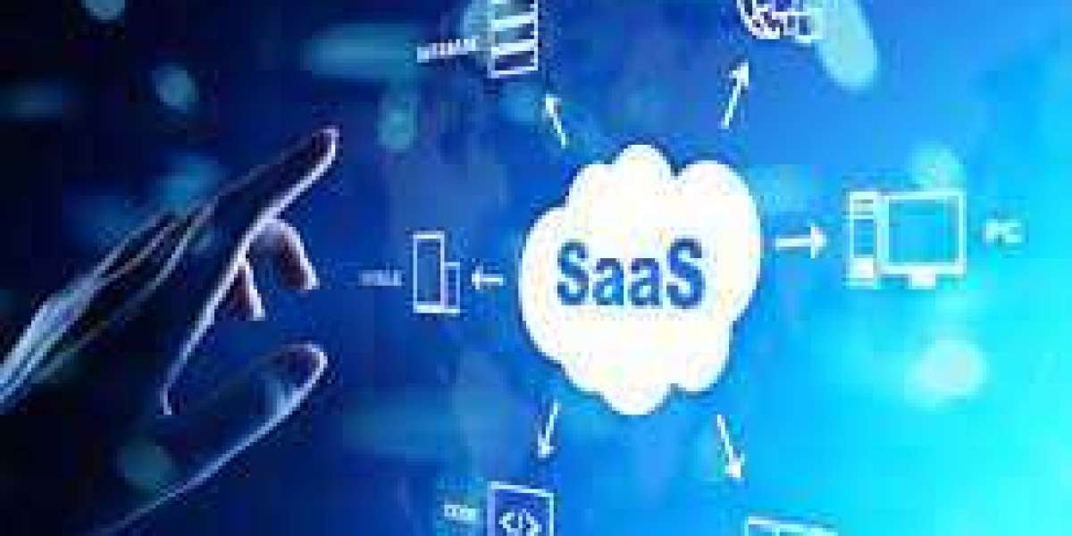 Empowering Businesses: SaaS Software Company Transformative
