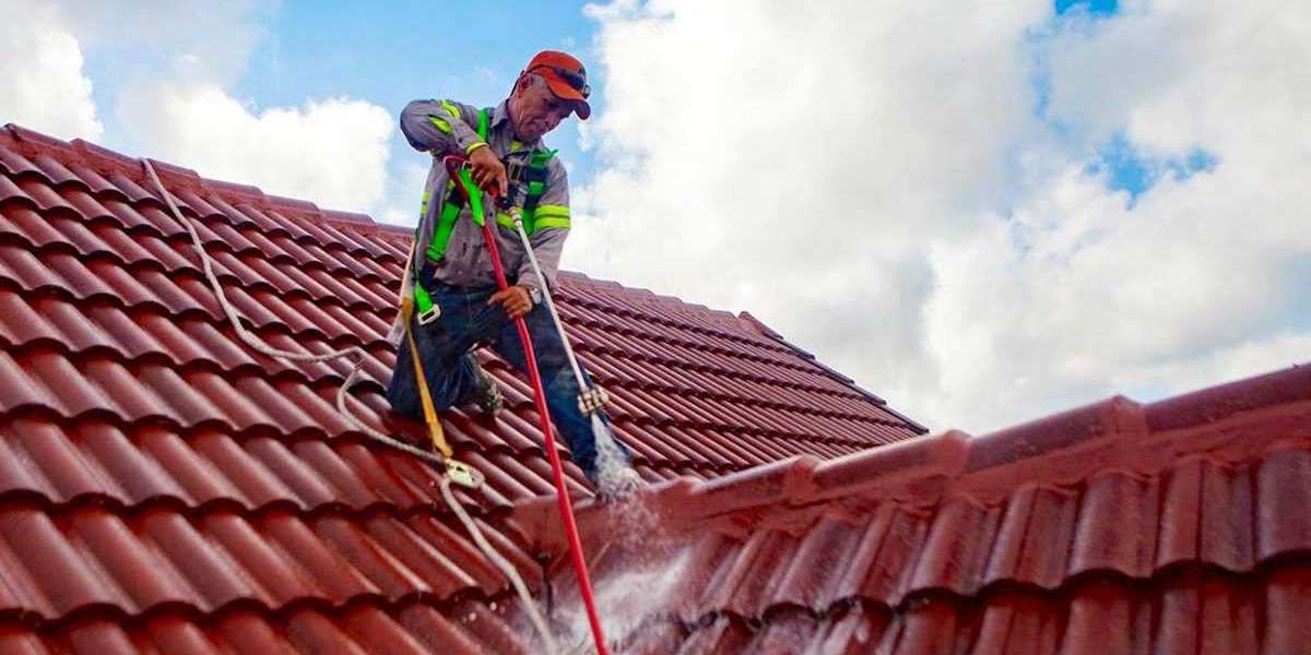 Residential Roof Cleaning: Things to Remember