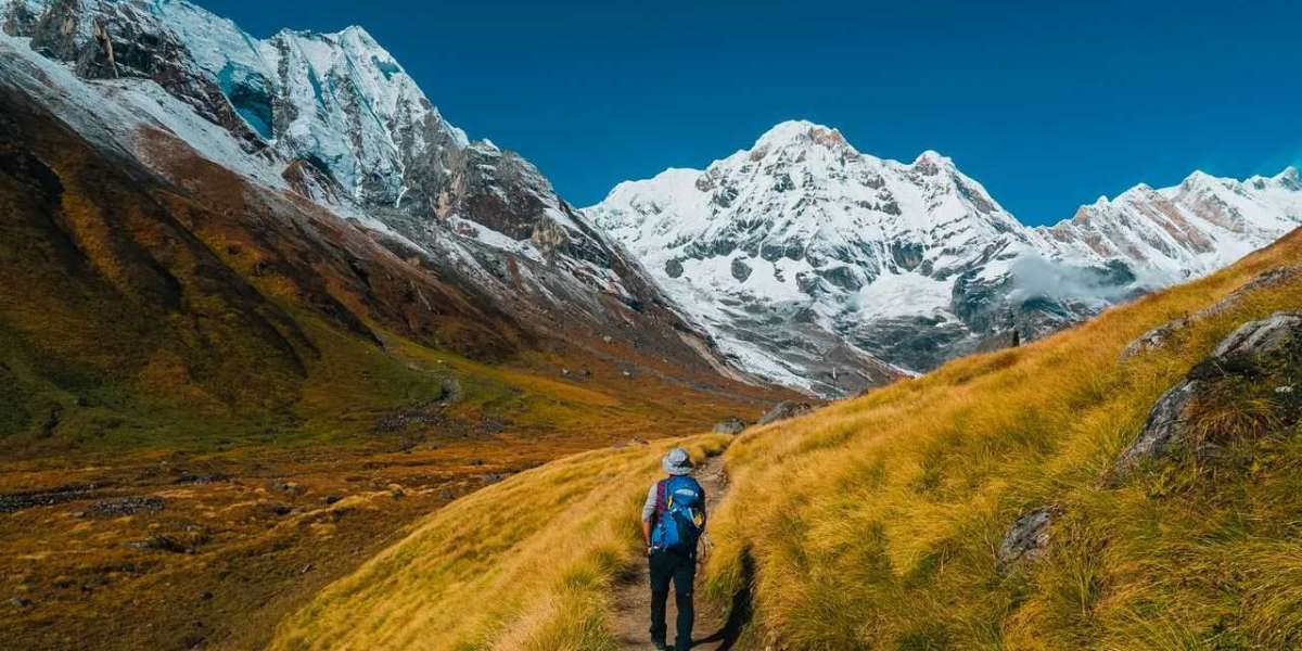 All you need to know about Annapurna Base Camp Trek 