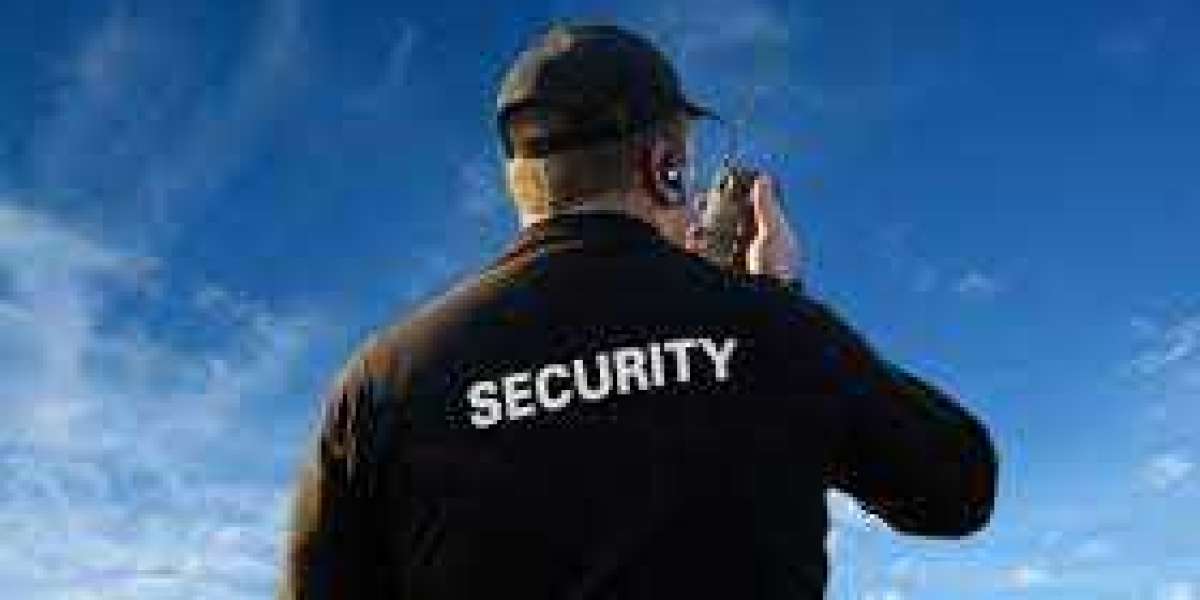 Security services come in various forms. Some examples are: