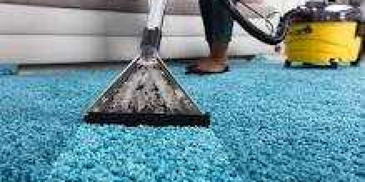 Carpet Care Specialists: Professional Cleaning for Spotless Results
