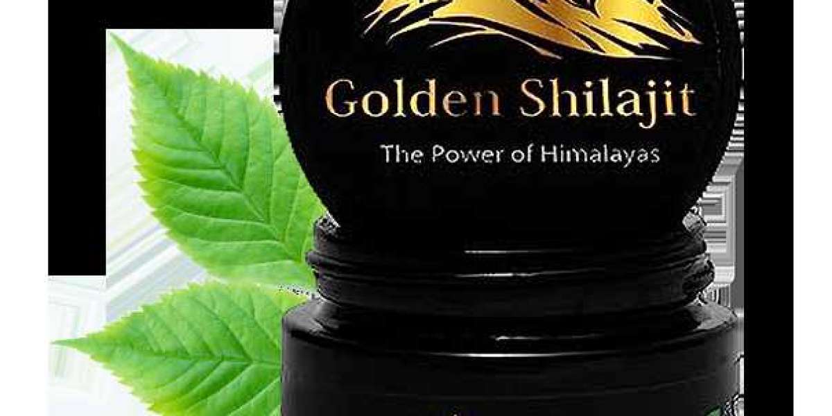 Harnessing Nature's Elixir: The Wonders of 100g Liquid Shilajit Resin