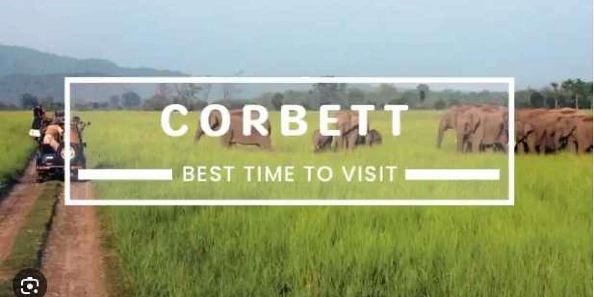 The Best Time to Visit Jim Corbett