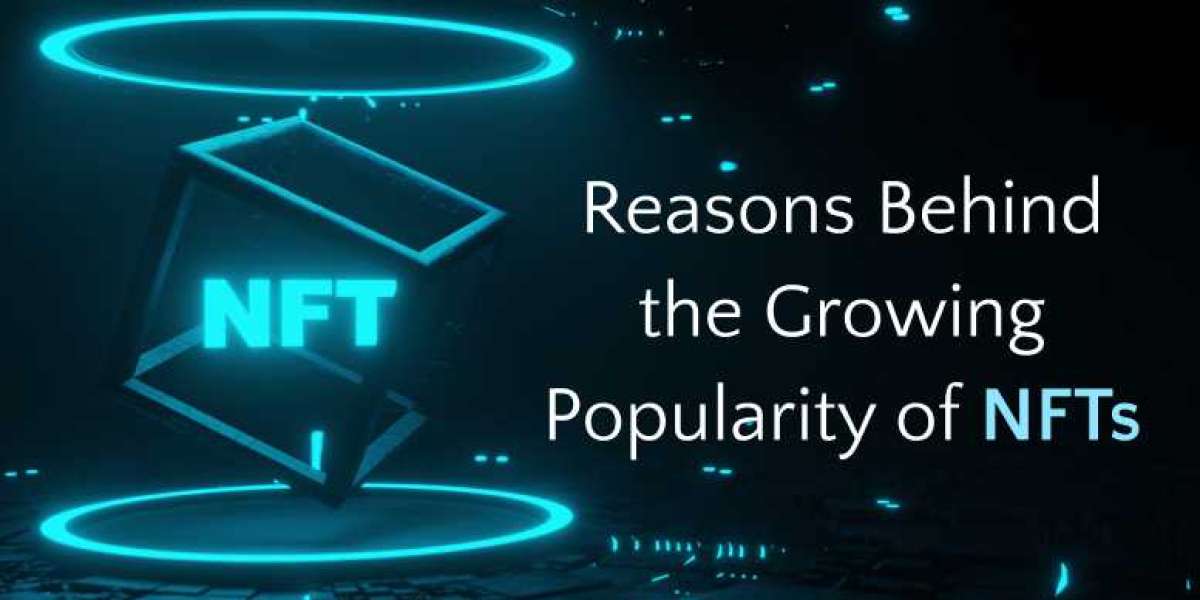 Reasons Behind the Growing Popularity of NFTs
