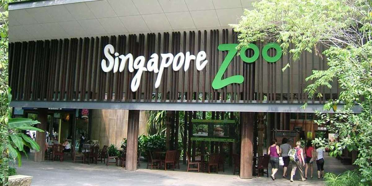 EXPLORE THE BEAUTY OF SINGAPORE ZOO TICKETS