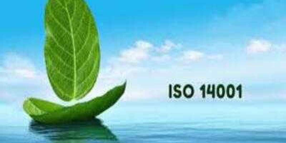 ISO 14001 Training in Malaysia: Elevating Environmental Sustainability