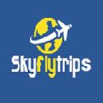 Sky Fly Trips Travel Agency Profile Picture