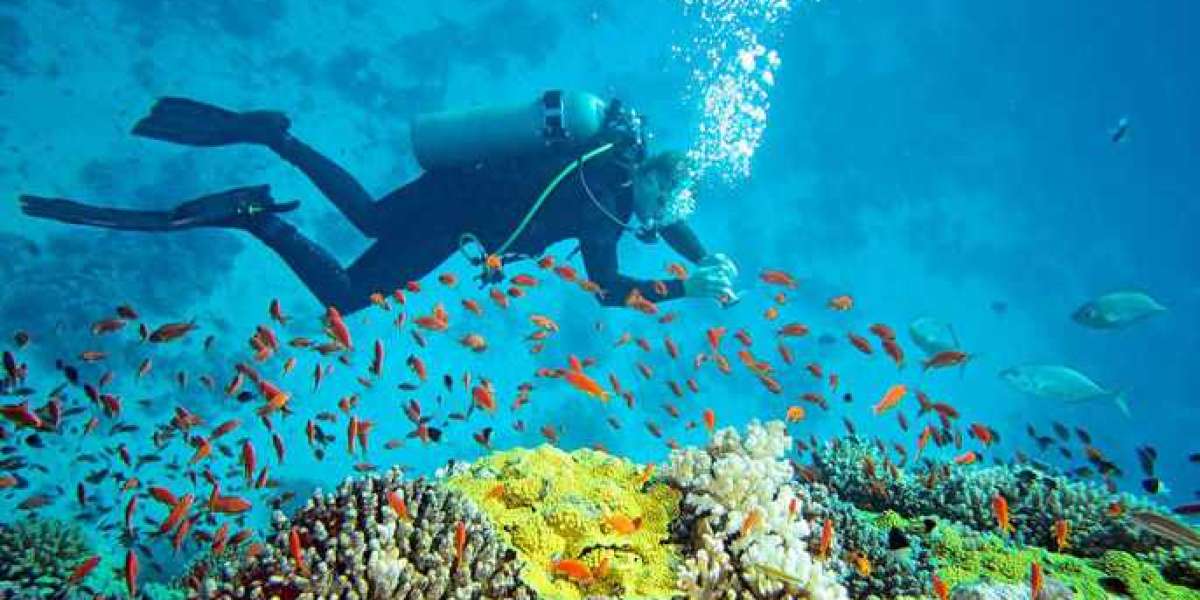 Scuba Diving in Andaman - Best Adventure