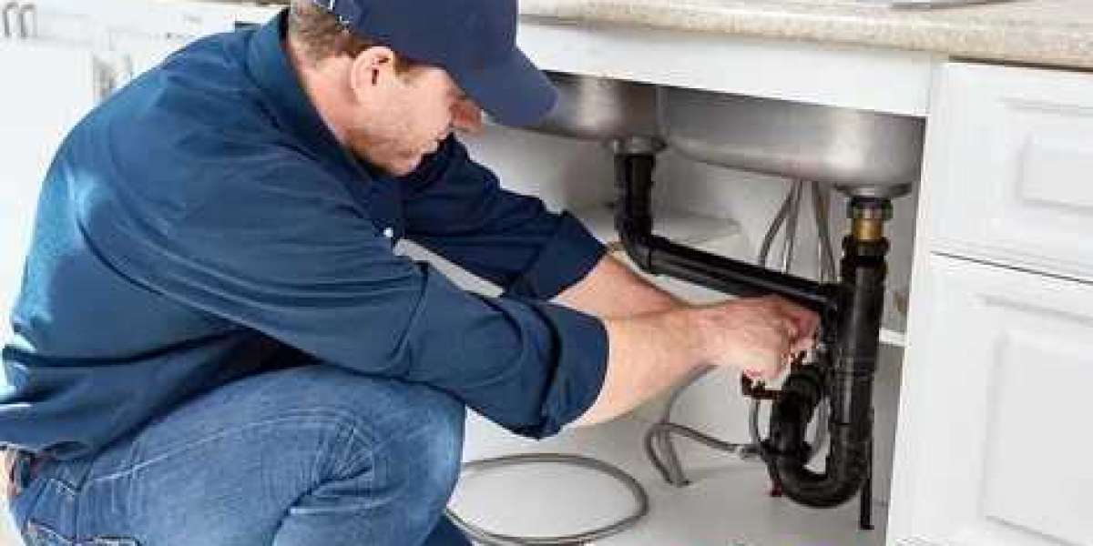 Pipes and Professionals: A Comprehensive Guide to Choosing a Plumber
