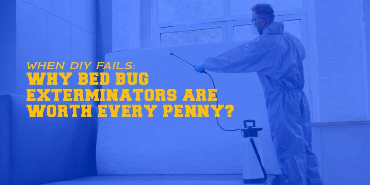 When DIY Fails: Why Bed Bug Exterminators Are Worth Every Penny?