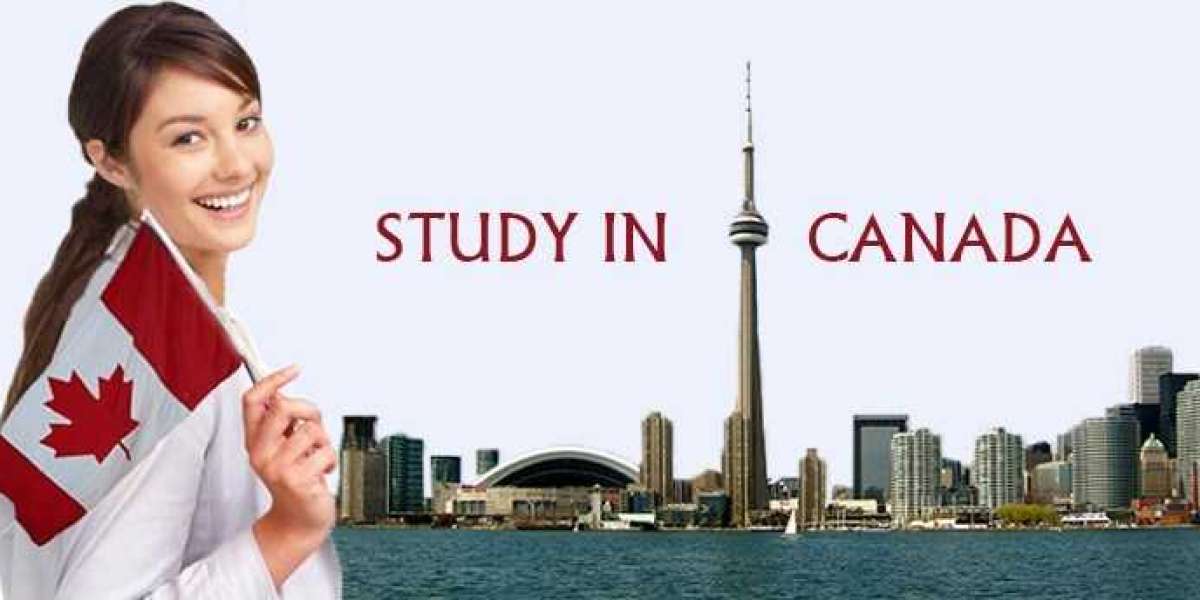The Canadian Studying Outside Canada