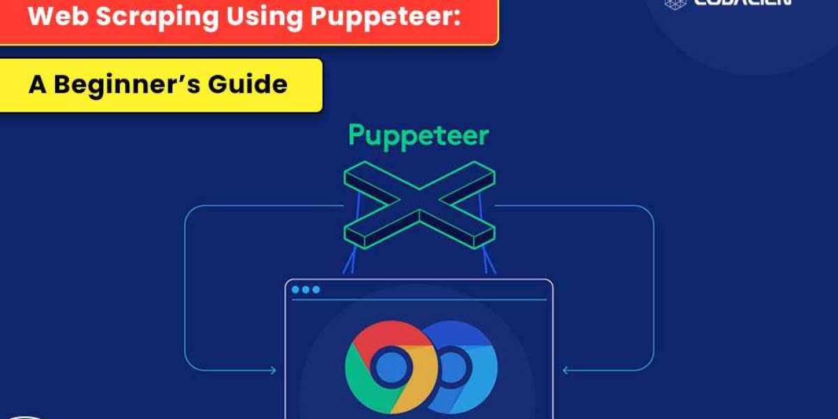 Web Scraping Using Puppeteer: A Beginner’s Guide