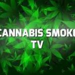Cannabis Smoke TV AI creations Profile Picture