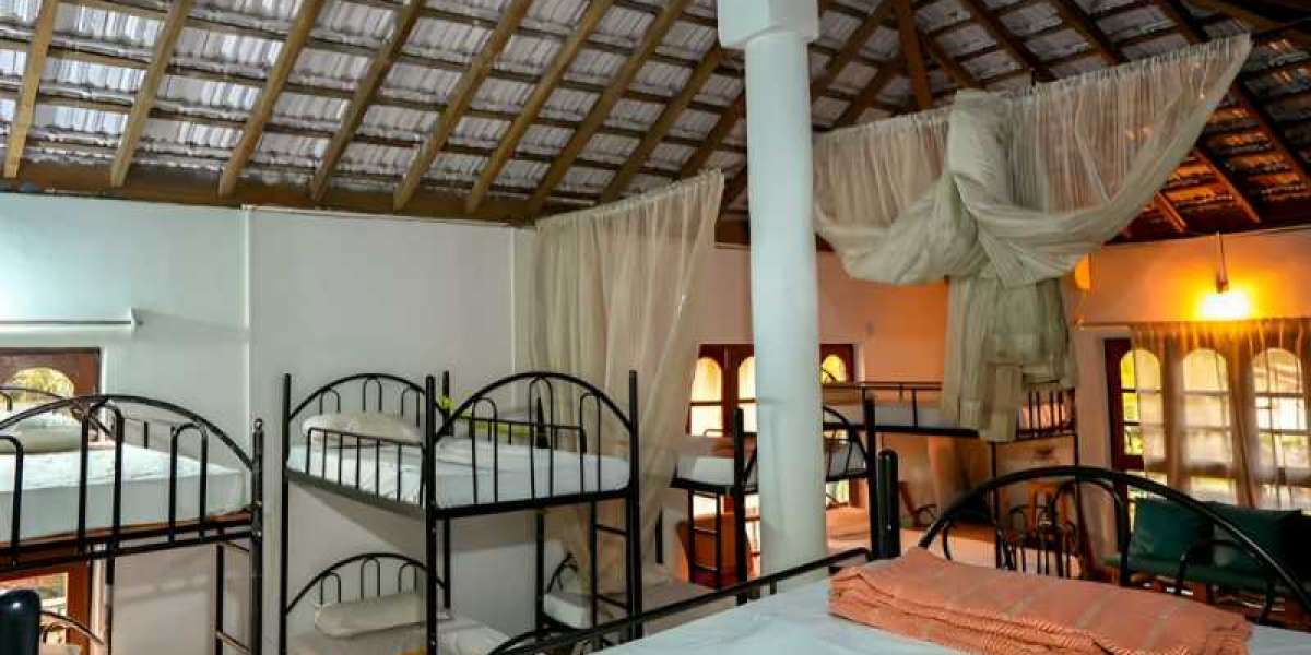Best Hostels In North Goa For Solo Travellers