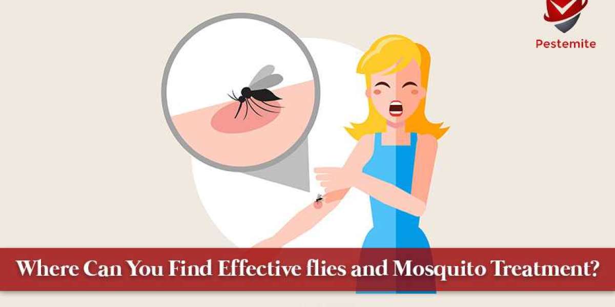 Where Can You Find Effective flies and Mosquito Treatment?