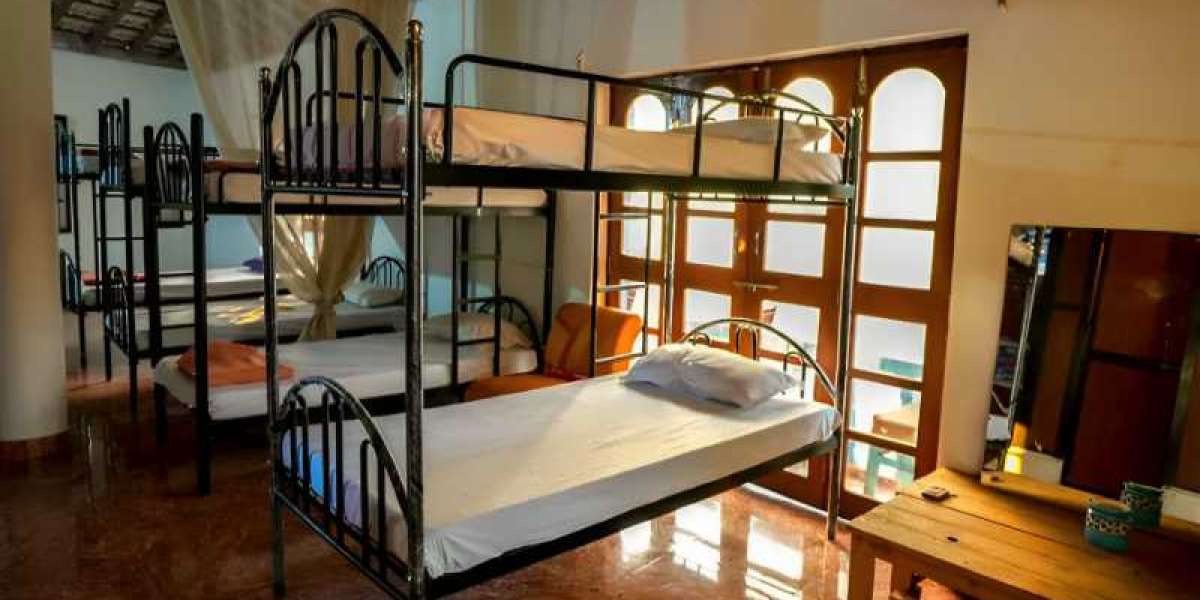 Stay In The Best Backpacker Hostel In North Goa