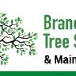 Branch Out Tree Specialist Profile Picture