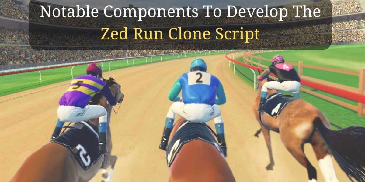 Notable Components To Develop the Zed Run Clone Script