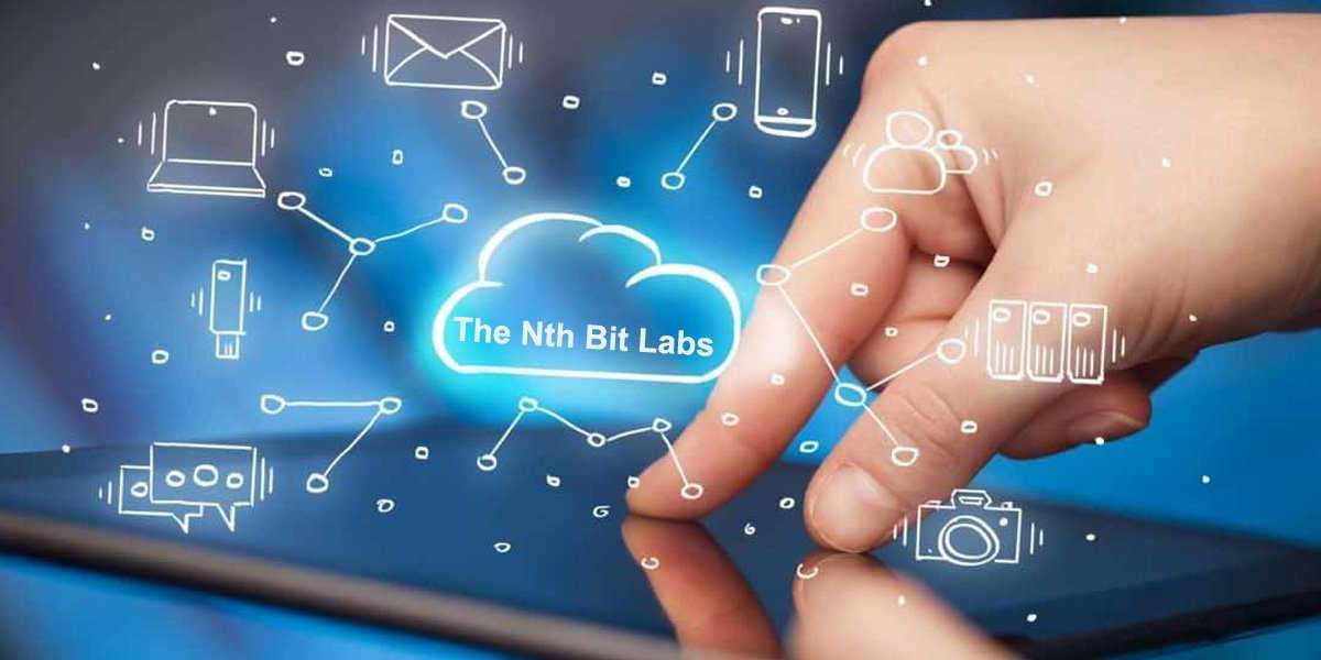 TheNthBit: Your Premier Software Development Partner in Delhi, Noida, and Gurgaon