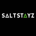Saltstayz Hospitality Profile Picture