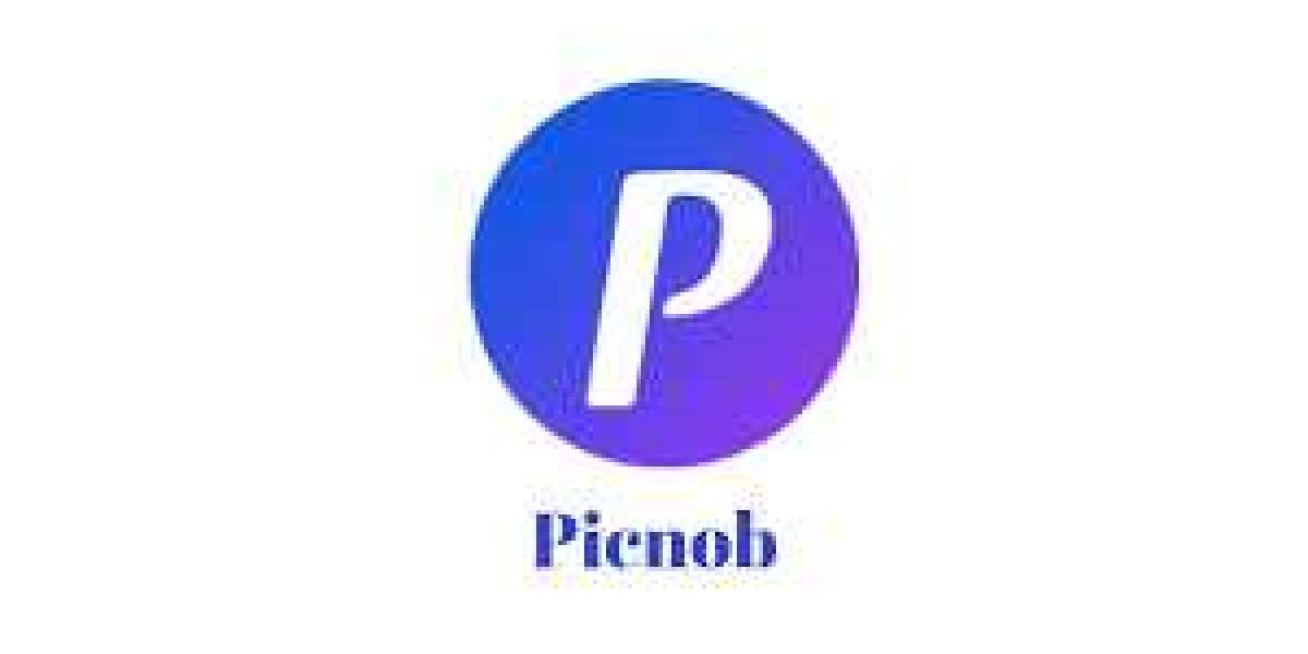 Unlocking the World of Instagram with Picnob: The Ultimate Viewer Tool