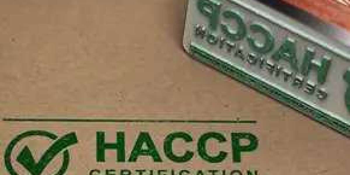 Mastering Food Safety: The Importance of Online HACCP Training