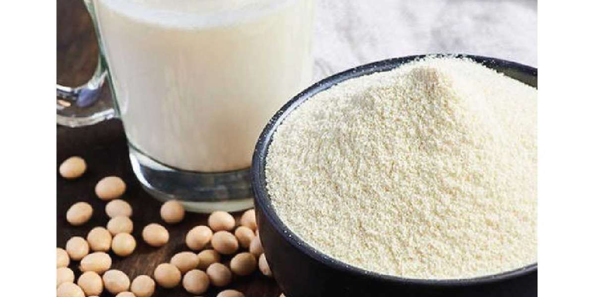 Soymilk Powder Manufacturing Plant setup Report 2024 | Industry Trends, Setup, Cost and Economics Details