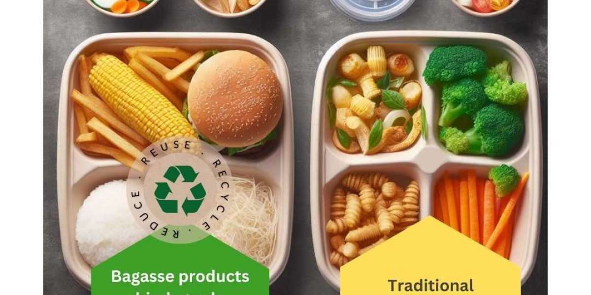 Choosing Sustainability: A Comparison of Bagasse vs. Plastics in Eco-Friendly Food Containers