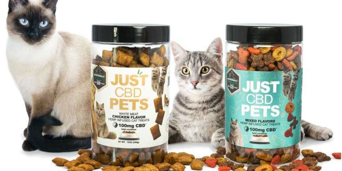 CBD Chews for Cats: Common Uses and Dosage Guidelines: