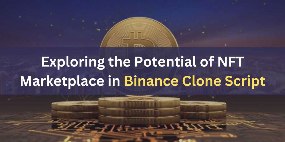 Exploring the Potential of NFT Marketplace in Binance Clone Script