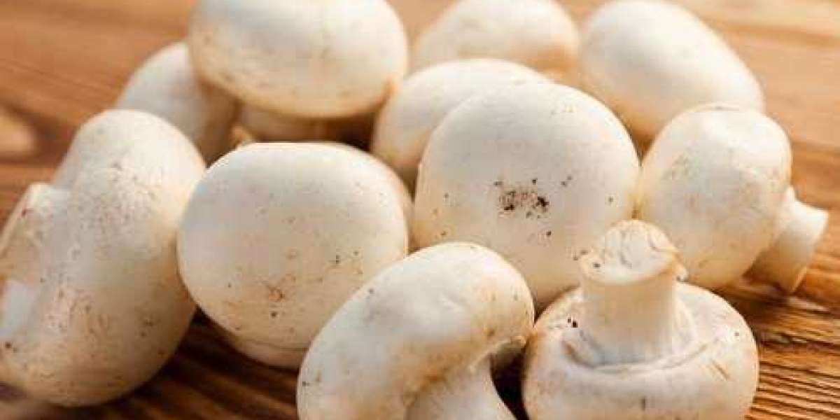 Mushroom Magic: Discover Unique Varieties for Sale