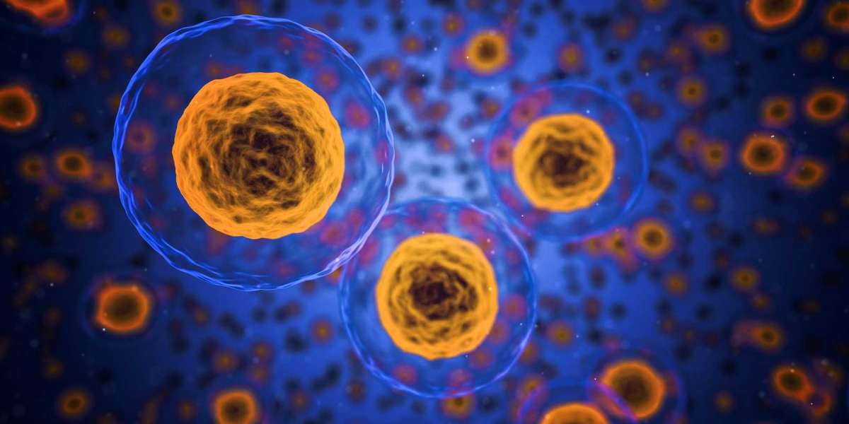 Stem Cell Manufacturing Market Key Highlights and Future Opportunities Till 2035