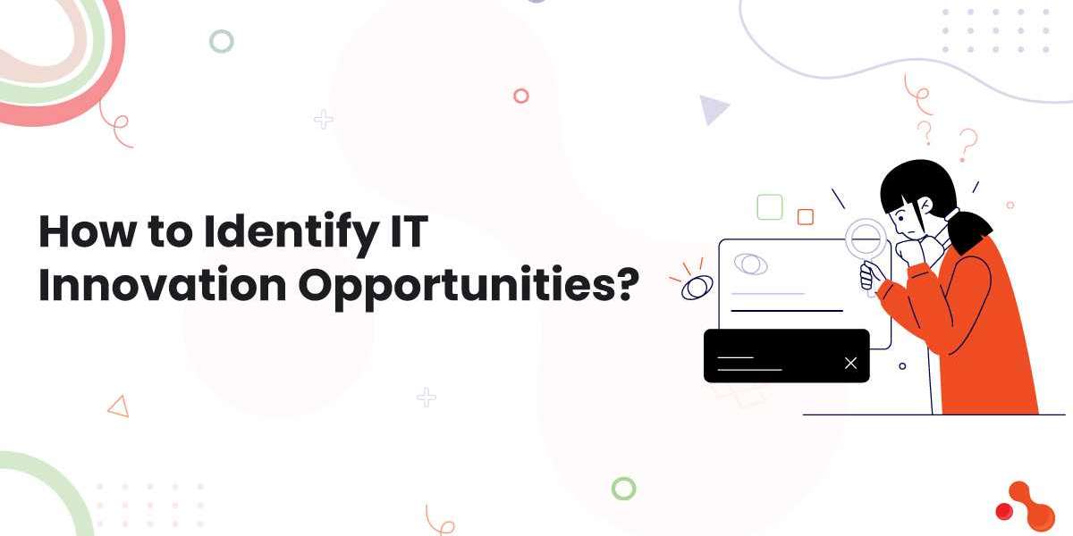 How to Identify IT Innovation Opportunities?