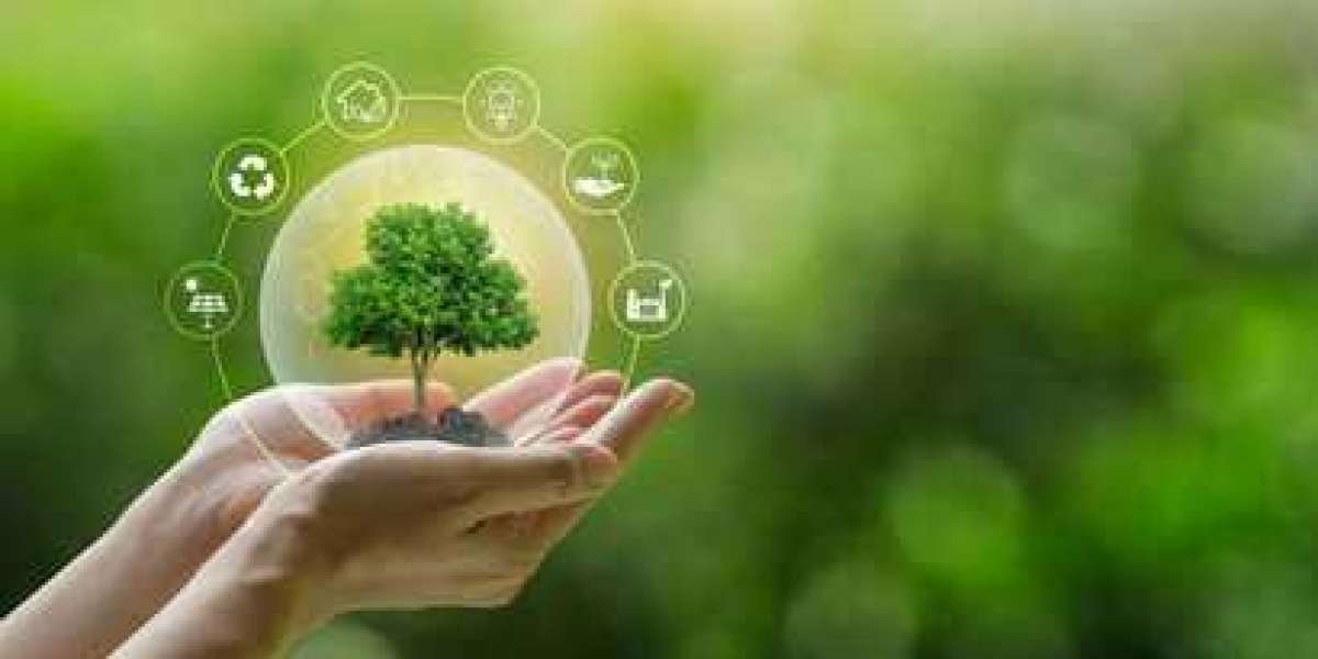 ISO 14001 Certification: Embracing Environmental Management for a Sustainable Future